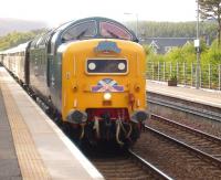 The North Berwick - Kyle of Lochalsh SRPS <I>Kyle Crusader</I> excursion, hauled by Deltic 55022 <I>Royal Scots Grey</I>, runs through Carrbridge on 28 May 2011.<br><br>[Gus Carnegie 28/05/2011]