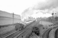 Beattock banker no 80045 assists a rebuilt ex-Crosti boilered 9F with a Shap - Ravenscraig limestone train following a restart from Beattock down loop in April 1965 [see image 24120]. The former Moffat branch, closed to all traffic a year earlier, turns away to the right.<br><br>[Robin Barbour collection (Courtesy Bruce McCartney) /04/1965]