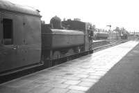 Collett 0-6-0PT no 7405 photographed at Barmouth in the summer of 1962, a year and a half before its final withdrawal from Carmarthen shed. <br><br>[K A Gray 14/08/1962]