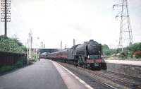 A2 Pacific no 60534 <I>Irish Elegance</I> brings a southbound train through Joppa in August 1959.<br><br>[A Snapper (Courtesy Bruce McCartney) 08/08/1959]