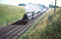 Black 5 no 45459 with a northbound freight has just passed Lugton's colour light down distant signal on Saturday 22 August 1959. The road bridge in the background carries the A735. The locomotive survived for almost another 5 years, being eventually withdrawn from Hurlford shed in May 1964.<br><br>[A Snapper (Courtesy Bruce McCartney) 22/08/1959]