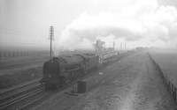 A North Sea fog hangs over the east coast main line to the north of Newcastle circa 1960, as A1 Pacific no 60137 <I>Redgauntlet</I> approaches the site of Little Benton sidings [see image 30435] with a long down freight, just under a mile short of Benton Quarry Junction. Such conditions were not uncommon in the area and the locomotive is about to pass a fogman's lever, used for the remote placement of detonators in extreme conditions. The Pacific is listed as being officially withdrawn from 52D Tweedmouth shed at the end of October 1962.  <br>
<br><br>[K A Gray //1960]