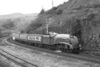 The sanders are obviously in operation as no 4498 <I>Sir Nigel Gresley</I> accelerates the eastbound 'Pennine Pullman' past Marsden down home signal on 9 October 1982. The train had originated at Carlisle, with the A4 taking over at Blackburn and running to Carnforth via Manchester Victoria, Huddersfield and Leeds.<br><br>[Bill Jamieson 09/10/1982]