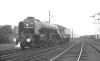 Class A2 Pacific no 60532 <I>Blue Peter</I> comes off Ferryhill shed on its way to Aberdeen station to take out a southbound train. Thought to have been photographed in the summer of 1966 with the train in question likely to be the 1.30pm to Glasgow Buchanan Street.<br><br>[K A Gray //1966]