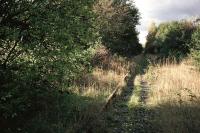 In the year 2000, a walk in the woods east of Alloa would reveal remnants of an abandoned railway line hidden amongst the undergrowth, and perhaps give pause for reflection on the passing of the heavy coal trains that used it up until 1981. In a rare historical reversal, the coal trains have returned to this trackbed and we are now left to reflect on the passing of the wood and its wildlife!<br><br>[Mark Dufton /10/2000]