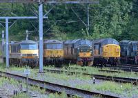 A mixed group of locomotives stabled in the sidings at Ipswich in 1992.<br><br>[Ewan Crawford //1992]