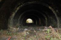 Inside the access to the large goods station that was adjacent to Greenock Lynedoch. From here the line went up the hill to join the main line at Mearns Street Tunnel. The trackbed beyond the tunnel is inaccessible due to it being overgrown and flooded.<br><br>[Graham Morgan 22/03/2011]