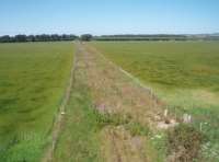 A mothballed Scottish branch line, becoming steadily overgrown.  This is a view from the bridge at Roseisle Maltings looking towards Burghead where the rails finish just short of the old station site.<br><br>[Mark Bartlett 02/07/2011]