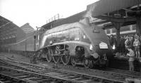 A4 Pacific no 60024 <I>Kingfisher</I> taking water at Newcastle Central on 21 May 1966 with the A4 Preservation Society <I>'East Coast Ltd'</I>. The special, which had originated from Doncaster, ran to Edinburgh Waverley and back via the ECML with no 60024 in charge throughout.<br><br>[K A Gray 21/05/1966]