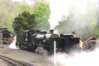 The 2'6' 'Puffing Billy Railway' runs from Belgrave to Gembrook, 15 miles away. The bulk of the work is done by 6 NA Class Prairie tanks, but they also have G42, a 2-6-0 - 0-6-2 Garratt, built by Beyer Peacock Ltd. in Manchester, in 1926. The latter is shown here exiting the shed yard at Belgrave on 13 October 2008.  Interesting to compare the tractive effort of this beast - 27,630 lb, with a Clan Pacific - 27,520 lb.<br><br>[Colin Miller 13/10/2008]