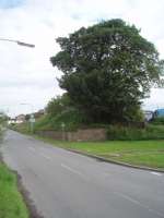 The very short branch to Fort George left the main line at Gollanfield and ran on a low embankment to the village of Ardersier where the remains of Fort George station house and goods shed still stand. The only significant structure on the branch was a bridge over the road just outside Ardersier where the embankments and stone abutments are still visible in July 2011. The branch closed to passengers in 1943 and completely in 1958.  <br><br>[Mark Bartlett 01/07/2011]