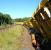 A class 66-hauled train of track panels standing alongside Hyndland station in connection with major track renewal work in this part of Glasgow over the weekend of 23/24 July 2011.<br><br>[Veronica Clibbery 24/07/2011]