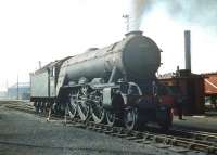 Gresley A3 Pacific no 60057 <I>Ormonde</I> stands in bright sunshine on Haymarket shed in the summer of 1959. <br><br>[A Snapper (Courtesy Bruce McCartney) 04/07/1959]