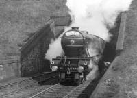 A1 Pacific No. 4475 <I>Flying Fox</I> bursts out of Penmanshiel Tunnel with 'The Flying Scotsman' in 1931. The photographer was 14 years old when he captured this scene.<br><br>[Frank Spaven Collection (Courtesy David Spaven) //1931]