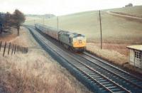 On 4 January 1969 the Border Railway Scociety arranged for a final day 'Farewell to the Waverley' headboard to be carried by a number of passenger services between Carlisle and Edinburgh. The headboard is seen here attached to D5311 approaching Cowbraehill bridge south of Tynehead on the climb to Falahill Summit with the 3pm Edinburgh - Carlisle train on that day.<br><br>[Bruce McCartney 04/01/1969]