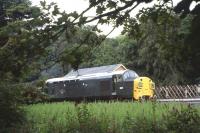 Class 37 no 6737 lurks in the undergrowth at Holt station on the North Norfolk Railway on 18th June 2011.<br>
<br><br>[David Spaven 18/06/2011]