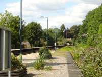 View north along the former island platform 3 at Abergavenny showing the far longer platform 1 stretching around the line's curve upto the up home signal. The prolific Buddleia is taking over part of the old trackbed.<br><br>[David Pesterfield //]