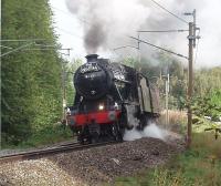 With <I>Scots Guardsman</I> currently out of action 8F 48151 has become the regular motive power for the weekly <I>Fellsman</I> excursions from Lancaster. Here the 2-8-0, with its steam sanders on and maintaining around 10mph on the tight and greasy curve, digs in to the climb of Lancaster bank but as the line straightened out the exhaust beat picked up and the train accelerated up the hill. [See image 35374]<br><br>[Mark Bartlett 24/08/2011]