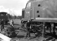 <I>Not again!</I> Derailment at Duns, with D181 off the road on 30th August 1965. The day  was an English Bank Holiday and Tweedmouth no longer steamed a loco for the Duns freight on such occasions, although it turned out to be a  false economy in this instance! As the derailment occurred at the east end of the run-round loop, the Gateshead crane could only deal with one end of the loco and the west end had to be got back on the rails using jacks and packing. <br><br>[Bill Jamieson 30/08/1965]