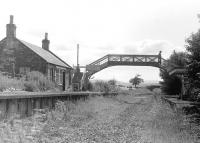 View south at Hassendean in 1975.<br><br>[Bill Roberton //1975]