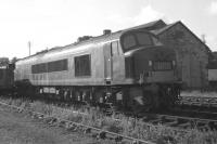 After re-railing [see image 35405] D181 was deposited in the goods yard opposite the long disused engine shed at Duns, where it is seen late in the afternoon on 30 August 1965. Unfortunately, I have no idea whether it left under its own power or was towed away as part of the branch freight later that week - school restarted the following day, precluding further daytime visits until the following weekend.<br><br>[Bill Jamieson 30/08/1965]