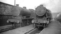 Fowler 0-8-0 no 49509 stands alongside ex-WD Austerity 2-8-0 no 90419 on Agecroft shed in September 1958.<br><br>[Robin Barbour Collection (Courtesy Bruce McCartney) 27/09/1958]