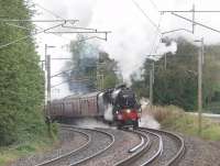 Black 5 45231 makes a spirited assault on the bank south of Lancaster with the final 2011 <I>Fellsman</I>. Four different steam locomotives have been used on the nine fully booked trains this year - 46115 (2), 44932 (1), 48151 (4) and finally 45231 (2). Roll on 2012!<br><br>[Mark Bartlett 14/09/2011]