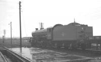 A wet Saturday at Bathgate in February 1966. B1 4-6-0 no 61099 stands in the yard alongside Bathgate shed.<br><br>[K A Gray 05/02/1966]