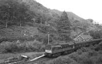 Unusual motive power for a westbound Fort William-Mallaig train at Beasdale in Summer 1966 - a two-tone green BR 'Derby' Type 2 (later Class 25) hauling maroon-liveried stock.<br>
<br><br>[David Spaven //1966]