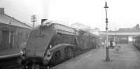 A4 Pacific no 60019 <I>Bittern</I> at Stirling on 19 October 1965 with the 7.10am Aberdeen - Glasgow Buchanan Street.<br><br>[K A Gray 19/10/1965]