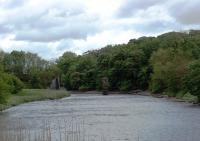 The remains of Bladnoch viaduct, as seen from the distillery of the same name looking west. The bridge carried the Whithorn branch and lies just south of Wigtown. The steel bridge deck was removed not long after final closure of the branch in 1965. [See image 28514] for a close up of the remains. <br><br>[Mark Bartlett 26/05/2011]