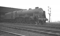 Royal Scot no 46126 <I>Royal Army Service Corps</I> stands on Aston shed on 7 October 1961.<br><br>[K A Gray 07/10/1961]
