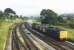 Two Class 31s, having just negotiated the Devon banks, bring a freight from the Plymouth line through Aller Junction on a sunny July evening in 1985. The freight consists primarily of bulk china clay wagons but also includes a Class 47 <I>dead in train</I>.<br><br>[Mark Bartlett //1985]