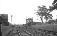 Lyneside 2. View south at the site of Lyneside station on 4 January 1969 following the passage of the 1pm Carlisle - Edinburgh train, with part of the station building and the signal box now visible. [See image 17405]<br><br>[K A Gray 04/01/1969]