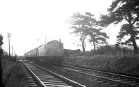 Lyneside 1. The final Saturday of scheduled passenger services over the Waverley route, 4 January 1969, sees D5317 at Lyneside, having just passed over the level crossing with the 1pm Carlisle - Edinburgh train.<br><br>[K A Gray 04/01/1969]
