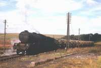 A V2 hauled train of Presflo cement wagons from Oxwellmains rests on the former Border Counties Railway at Riccarton in 1963. In its latter years the Waverley Route saw a rich variety of the modern generation of freight wagons on through freight trains from the east and north east of Scotland to a wide variety of English destinations - the notable exception being Freightliner trains, which were not cleared for the route due to the square profile of containers which would have fouled the W6 loading gauge. <br><br>[Frank Spaven Collection (Courtesy David Spaven) //1963]