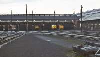 The front of Polmadie shed on an overcast March afternoon in 1971. The shed yard seems strangely deserted, although the yellow ends betray the presence of locomotives of classes 17, 24 and 50 inside, while the silhouettes on the left suggest further variety in the shape of classes 08 and 20.<br><br>[Bill Jamieson 13/03/1971]