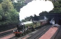 4472 <I>Flying Scotsman</I> emerges from The Mound tunnel and accelerates west through Princes Street Gardens on 16 May 1964 with the Queen's College Railway & Transport Society <I>'Flying Scotsman Rail Tour'</I> bound for Aberdeen. [See image 25697]  <br><br>[Frank Spaven Collection (Courtesy David Spaven) 16/05/1964]