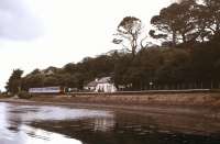 Scene on the St Ives branch in the summer of 1999 with a train standing alongside Lelant station and tea rooms.<br><br>[Ian Dinmore 21/06/1999]