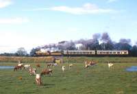 No cattle fright here, as the Jones Goods and the two preserved Caley coaches head west from Forres on one of the September 1965 Highland Railway centenary specials to Inverness.<br><br>[Frank Spaven Collection (Courtesy David Spaven) /09/1965]