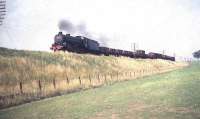 St Margarets B1 4-6-0 no 61351 runs through Broomhouse in Edinburgh's western suburbs in July 1959 with a mixed freight.<br><br>[A Snapper (Courtesy Bruce McCartney) 25/07/1959]