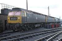 A line up of Type 4 diesel power at Polmadie shed in March 1971, comprising two class 47s, Nos. 1842 and 1956 (?), class 50 No. 429 and green class 40 No. 306. Train 4S31 was an overnight Rootes/Chrysler company train from Gosford Green (Coventry) to Linwood [see image 6314].<br><br>[Bill Jamieson 13/03/1971]