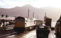 A Type 2 marshalling a goods train at Kyle of Lochalsh in August 1972.<br><br>[Colin Miller /08/1972]