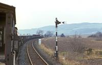 EE Type 4 No. 367 and its Millerhill to Inverness freight are cautioned by the Hilton Junction distant signal in <br>
anticipation of being stopped to give the 15.10 Glasgow to Dundee train precedence. The semaphore distant to the right was for Bridge of Earn. 3rd March 1971<br><br>[Bill Jamieson 03/03/1971]
