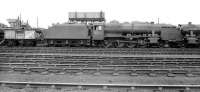 A notable visitor to Kingmoor on 5 July 1958. The much travelled Stanier 8F no 48773 was built by the North British Locomotive Co in 1940 for the War Department (works no 24607). It was originally intended to operate in France but was instead sent to Persia in 1941, becoming Persian State Railways no 41-109. During its time in Persia the locomotive sustained damage in a derailment following a collision with a camel. In 1944 it was converted to oil firing. Four years later it went to Suez where it was almost scrapped following major mechanical problems but eventually made its way back to Derby Works for attention during 1952. Following overhaul the locomotive emerged as WD no 500 and was sent to the Longmoor Military Railway. The 8F was taken into BR stock in 1957, becoming no 48773 and allocated to Polmadie shed. Withdrawal came in 1962, only to see it reinstated in November the following year at Kingmoor (some records show an intervening temporary reinstatment between February and July 1963 while still at Polmadie). After a number of further moves the locomotive's final BR port of call was Rose Grove, from where it was withdrawn by BR for the last time in August 1968, having hauled the MRTS/SVRS 'Farewell to Steam' special a few days earlier [see image 36292]. Today 48773 can be seen on display in the Engine House at Highley on the Severn Valley Railway. <br><br>[Robin Barbour Collection (Courtesy Bruce McCartney) 05/07/1958]