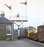 EE Type 4 No. 367 at Ladybank on 3 March 1971 with the 13.02 Millerhill to Inverness class 8 freight. The train was conveying extra brake vans for the use of members of the EURS, who joined the train here, having travelled to Ladybank via scheduled passenger services.<br><br>[Bill Jamieson 03/03/1971]