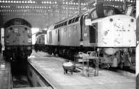 A trio of EE Type 4s, with D267 nearest the camera, receiving attention inside Carlisle Kingmoor diesel depot in 1971 on the occasion of an open day. <br><br>[John Furnevel 22/05/1971]