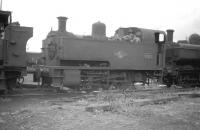 Collett 0-4-0T no 1102 photographed on Danygraig shed, Swansea, in June 1959. Note the bell on the front of the cab, a fairly standard feature on the dock shunters operating out of 87C at that time [see image 34431]. <br><br>[Robin Barbour Collection (Courtesy Bruce McCartney) 28/06/1959]