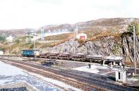 A Type 2 with a PW train during work being carried out at Kyle of Lochalsh in 1980.<br><br>[Ian Dinmore //1980]