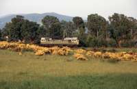 Class 27 no D5394 approaching Aviemore from the north on the Speyside line on 04 July 1991. The locomotive is on its way to collect the 'Royal Scotsman' and haul it to its overnight stop at Boat of Garten.<br><br>[John McIntyre 04/07/1991]